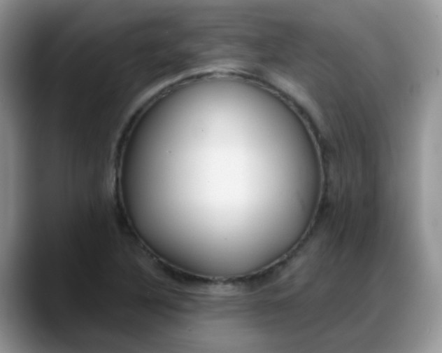 X0000088181316200705291944