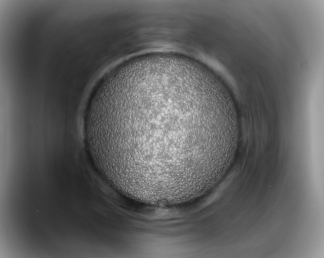 X0000088181318200705291944