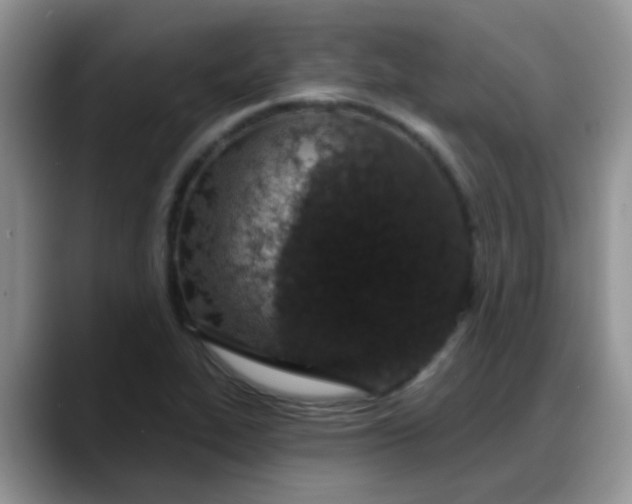 X0000088181319200705291944