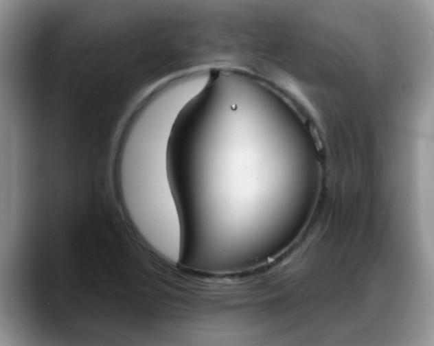 X0000088181320200705291944