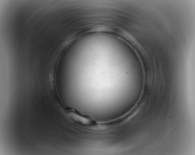 X0000088181321200705291944