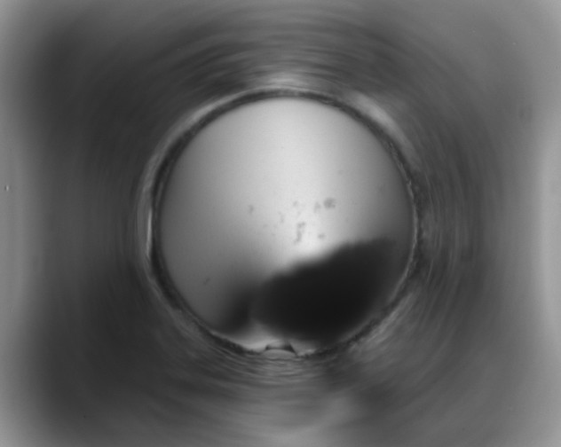X0000088181323200705291944