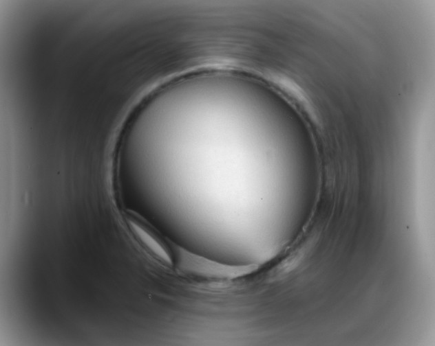 X0000088181326200705291944