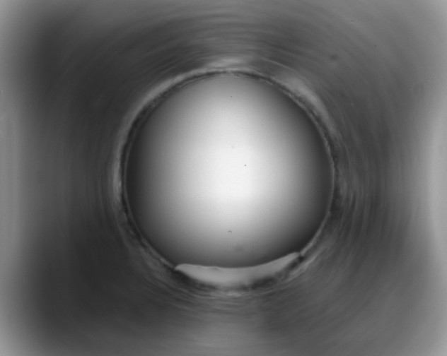 X0000088181328200705291944