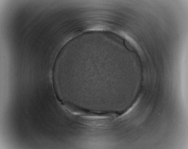 X0000088181329200705291944