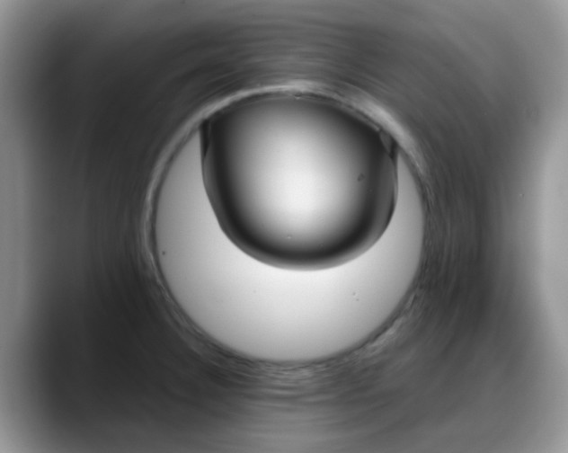 X0000088181332200705291944