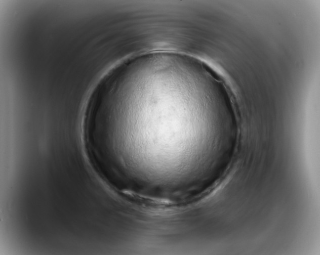 X0000088181333200705291944