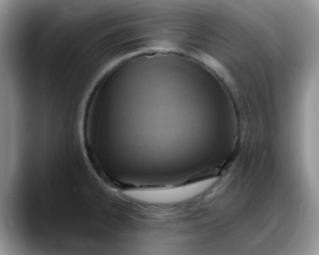 X0000088181334200705291944