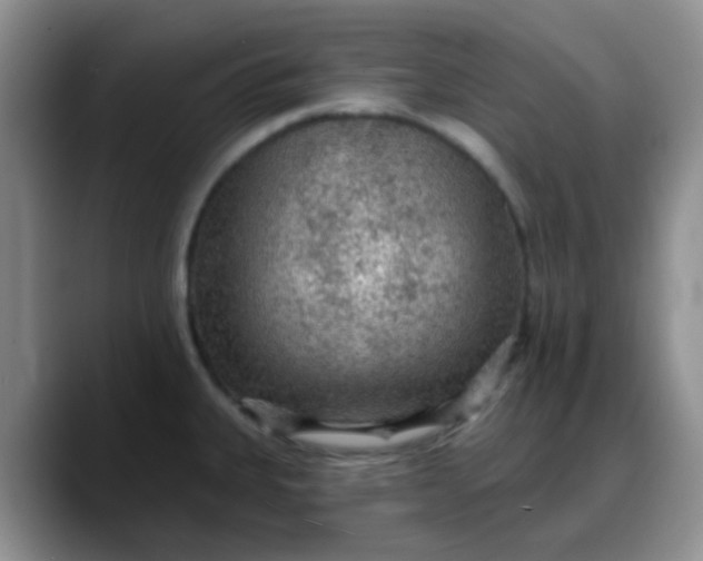 X0000088181335200705291944