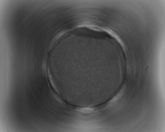 X0000088181337200705291944