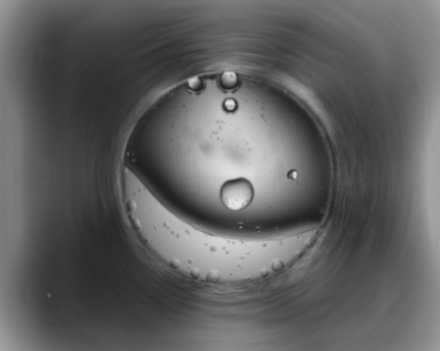 X0000088181338200705291944