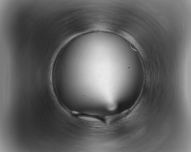 X0000088181339200705291944
