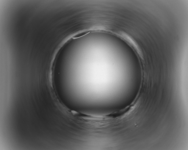 X0000088181340200705291944