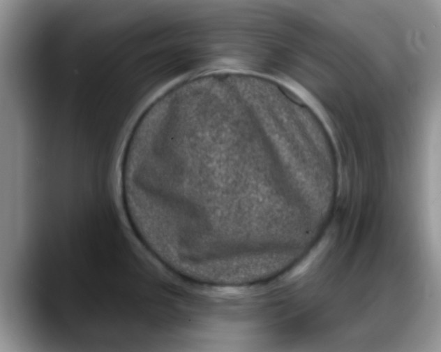 X0000088181341200705291944