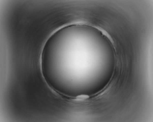 X0000088181343200705291944