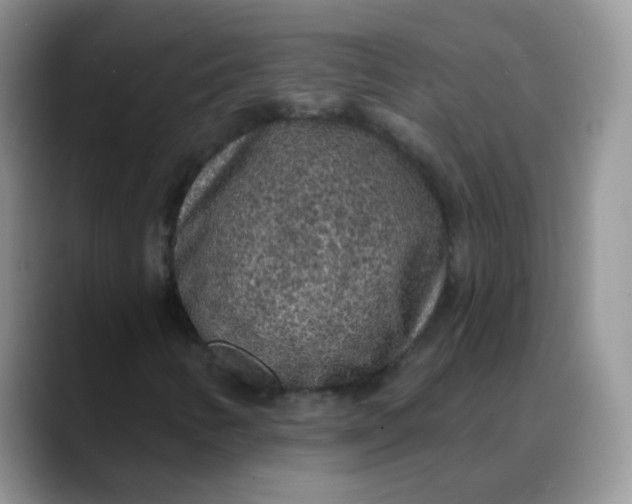 X0000088181346200705291944