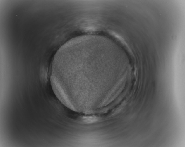 X0000088181348200705291943