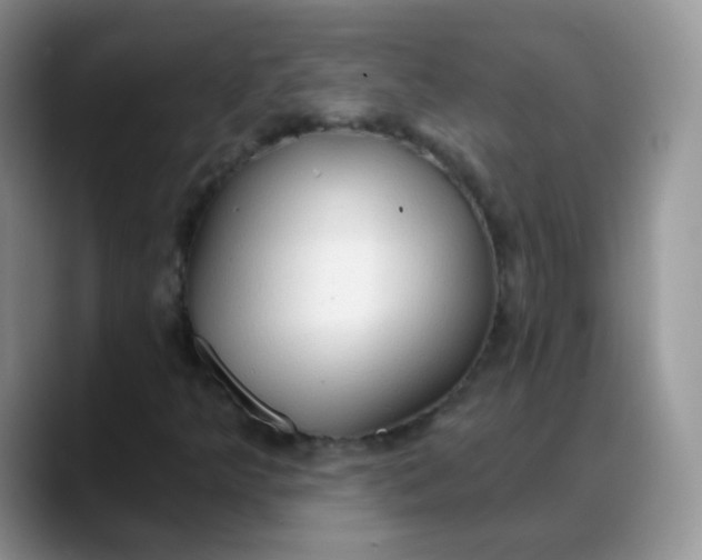 X0000088181349200705291943