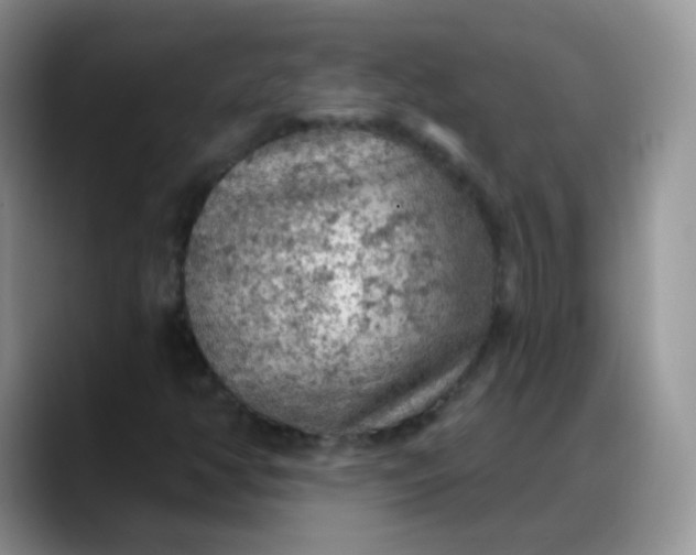 X0000088181350200705291943