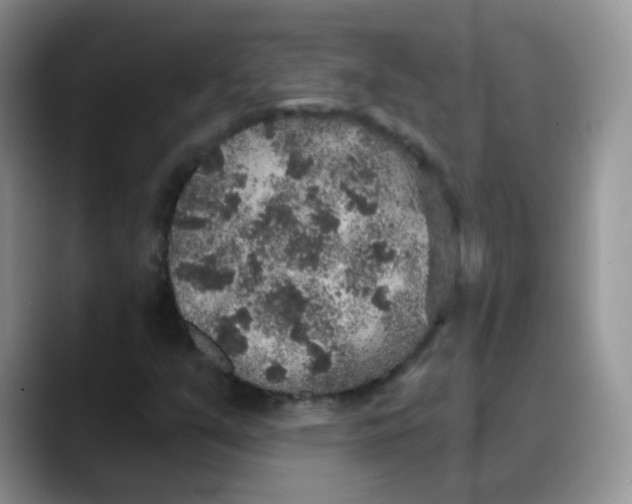 X0000088181351200705291943