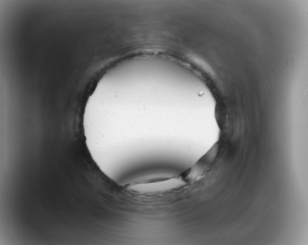 X0000088181352200705291943