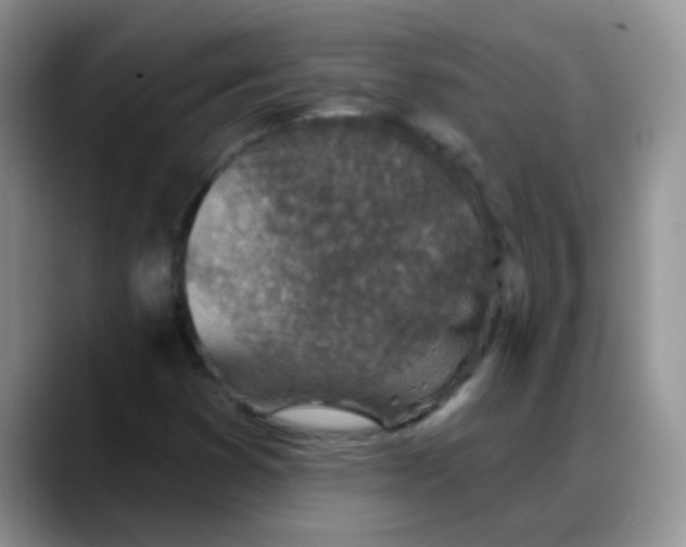 X0000088181353200705291943