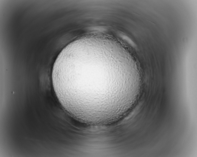 X0000088181354200705291943