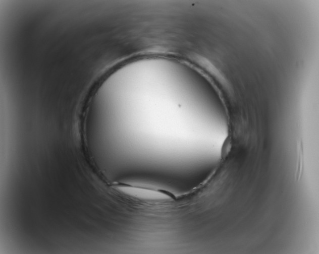 X0000088181356200705291943