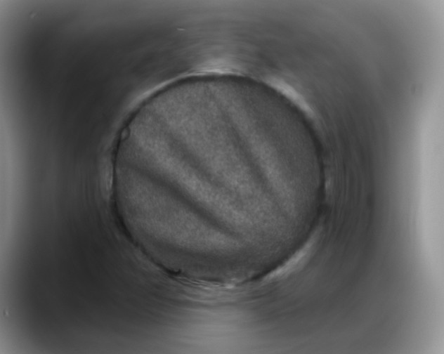 X0000088181358200705291943