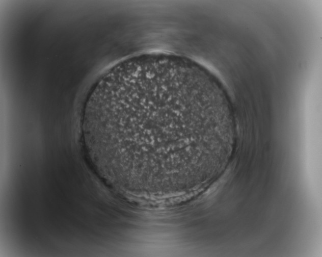 X0000088181359200705291943
