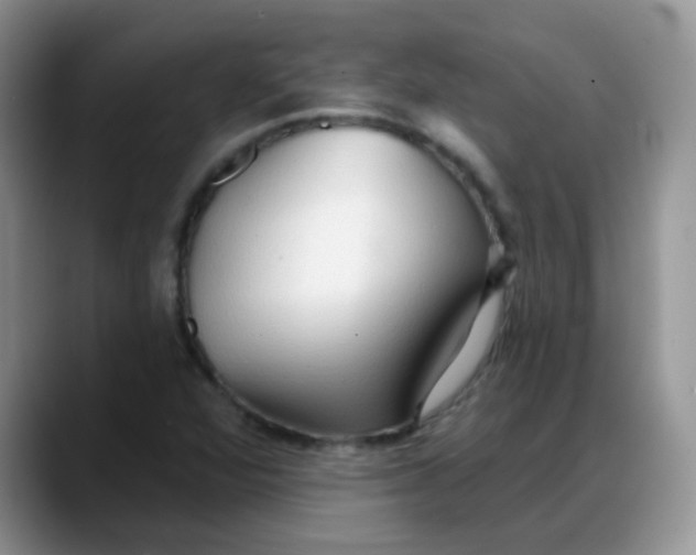 X0000088181360200705291943