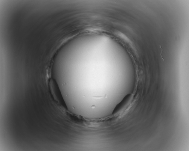 X0000088181361200705291943