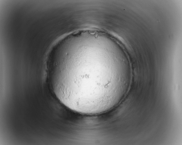 X0000088181363200705291943