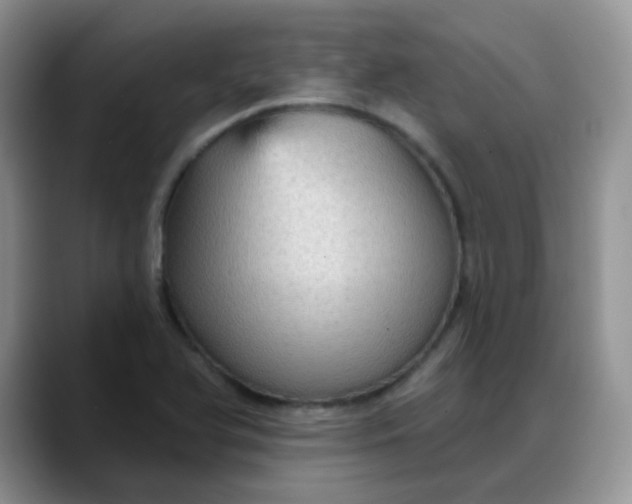 X0000088181366200705291943