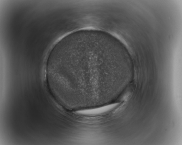 X0000088181367200705291943