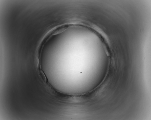 X0000088181368200705291943