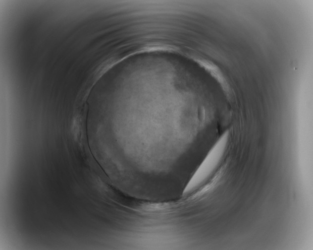 X0000088181369200705291943
