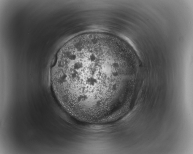 X0000088181371200705291943