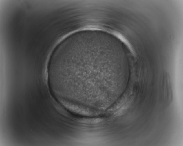 X0000088181372200705291943
