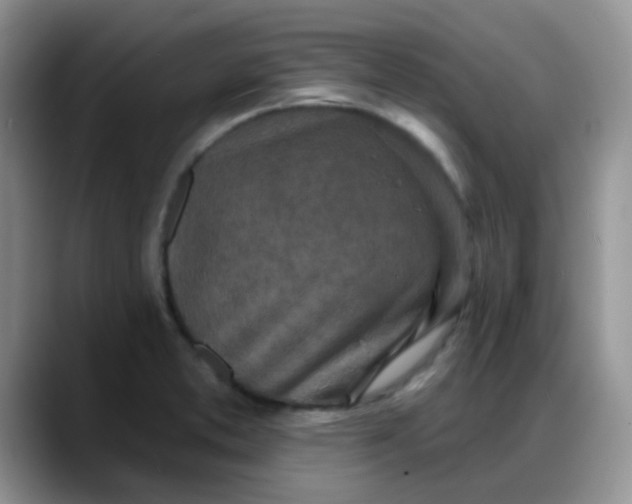 X0000088181373200705291943