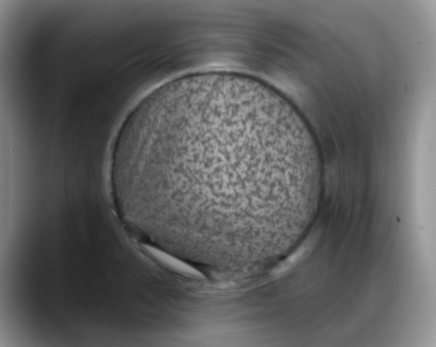 X0000088181374200705291943