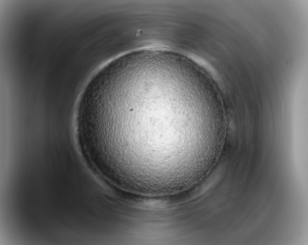 X0000088181375200705291943