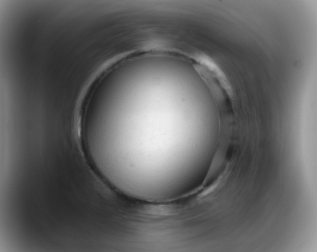 X0000088181376200705291943