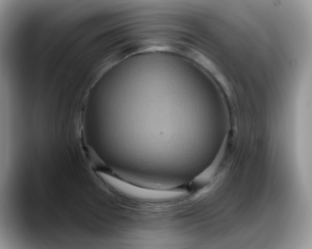 X0000088181377200705291943