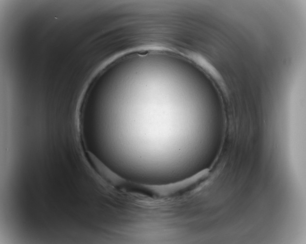 X0000088181380200705291943