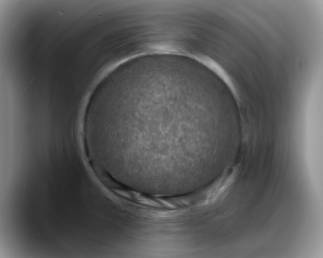 X0000088181381200705291943