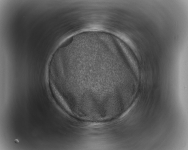 X0000088181382200705291943
