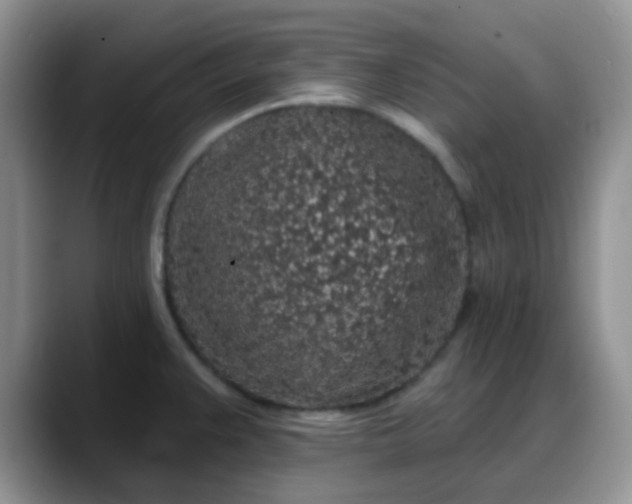 X0000088181383200705291943