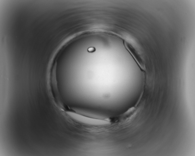 X0000088181384200705291943