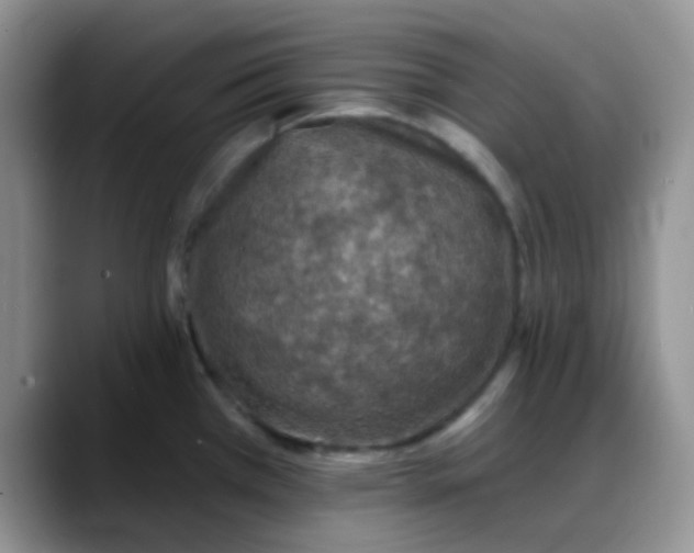 X0000088181385200705291943